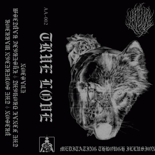 True Love : Meditating Through Illusion